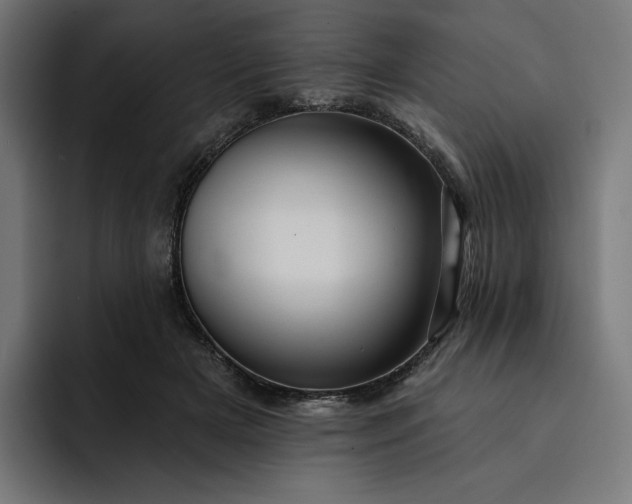 X0000093130505200710101101