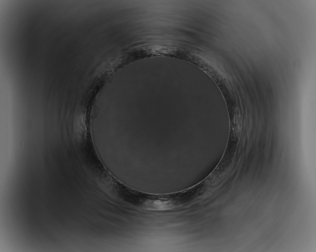 X0000093130506200710101101