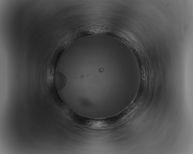 X0000093130507200710101101