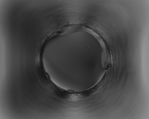 X0000093130508200710101101