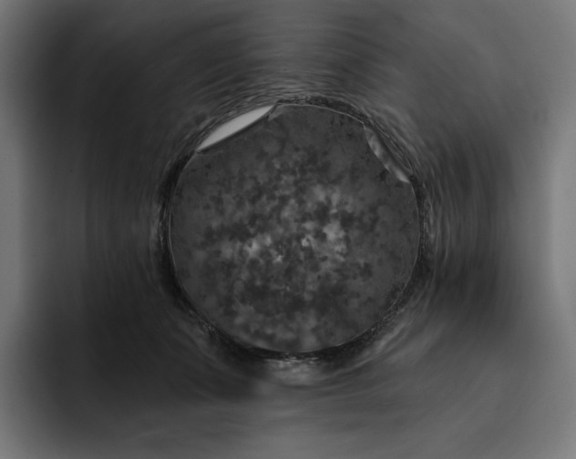 X0000093130511200710101101