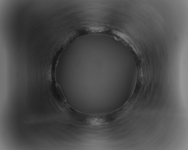 X0000093130512200710101101