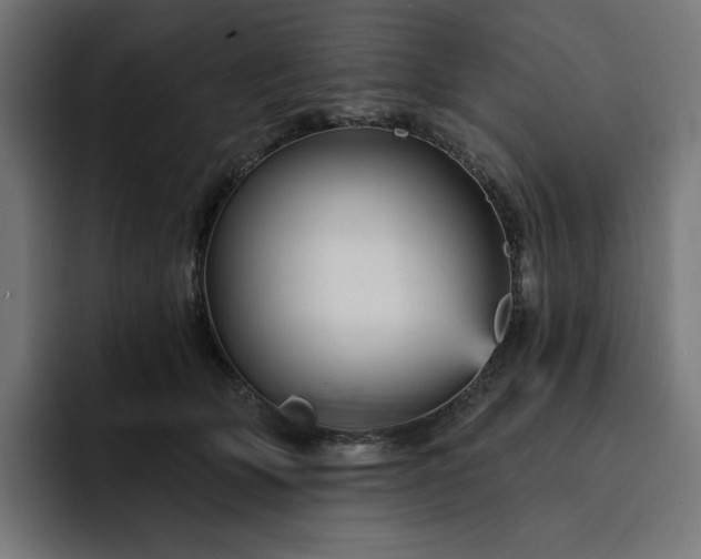 X0000093130514200710101101