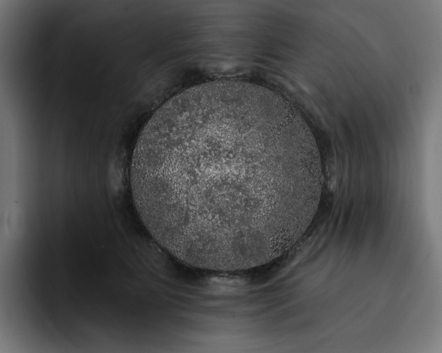 X0000093130515200710101101