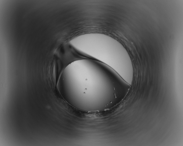 X0000093130516200710101101