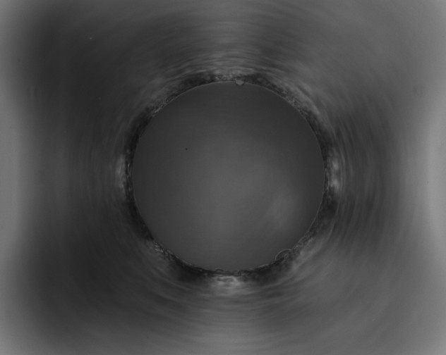 X0000093130519200710101101