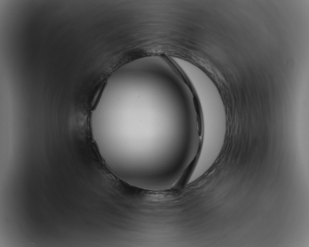 X0000093130521200710101101