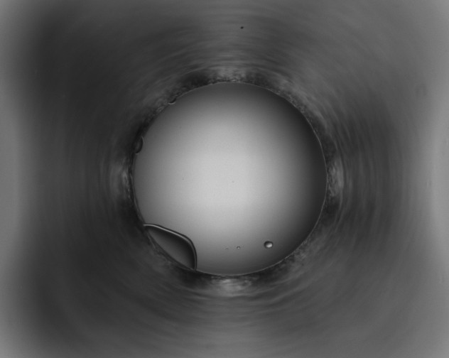 X0000093130522200710101101