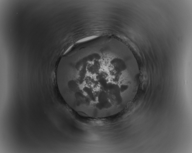 X0000093130523200710101101