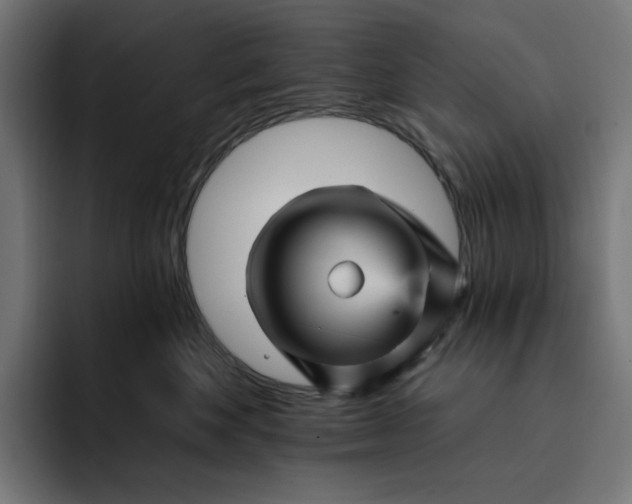 X0000093130524200710101101