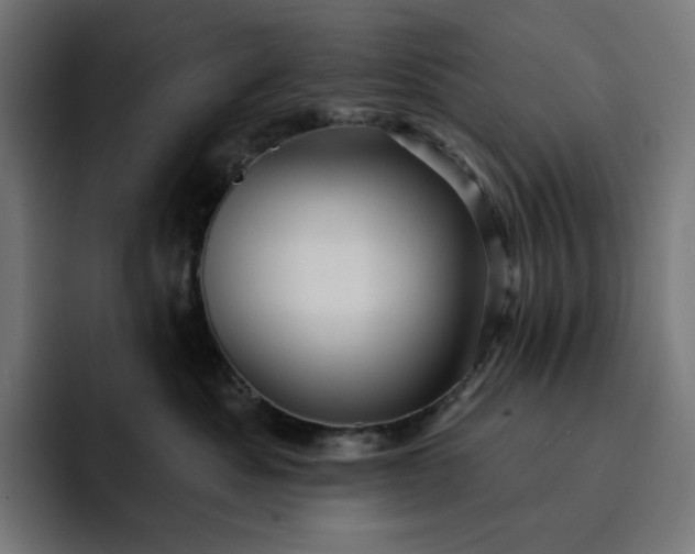 X0000093130525200710101101