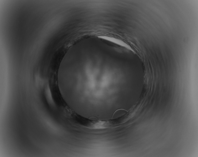 X0000093130527200710101101