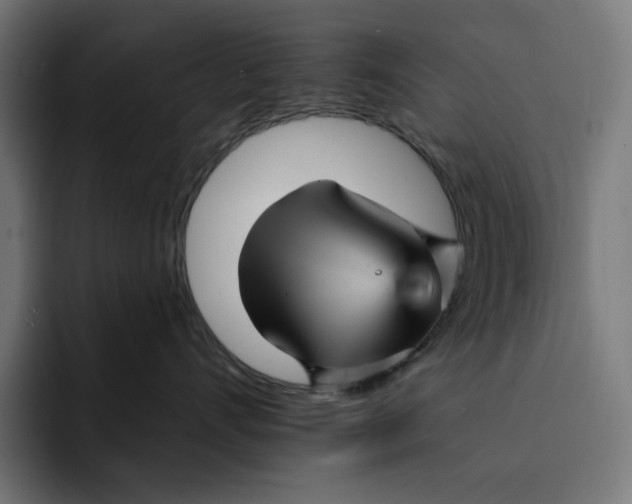 X0000093130528200710101101