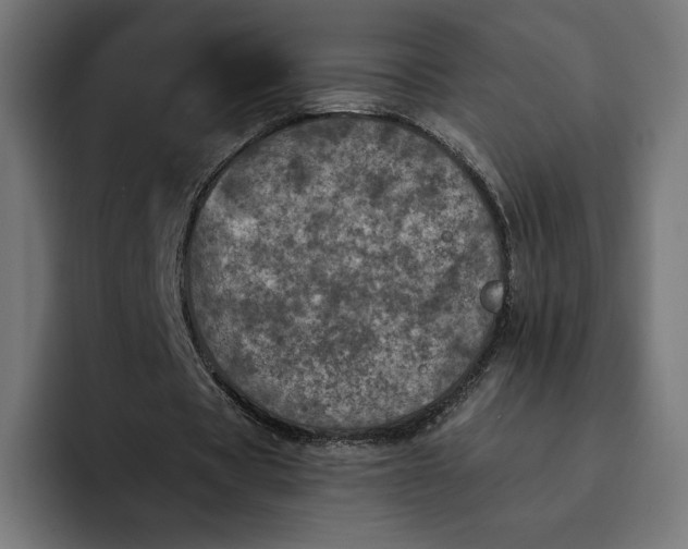 X0000093130529200710101101