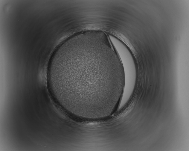 X0000093130530200710101101