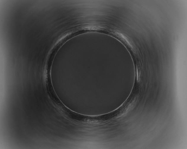 X0000093130531200710101101