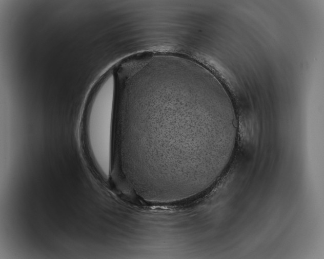 X0000093130532200710101101