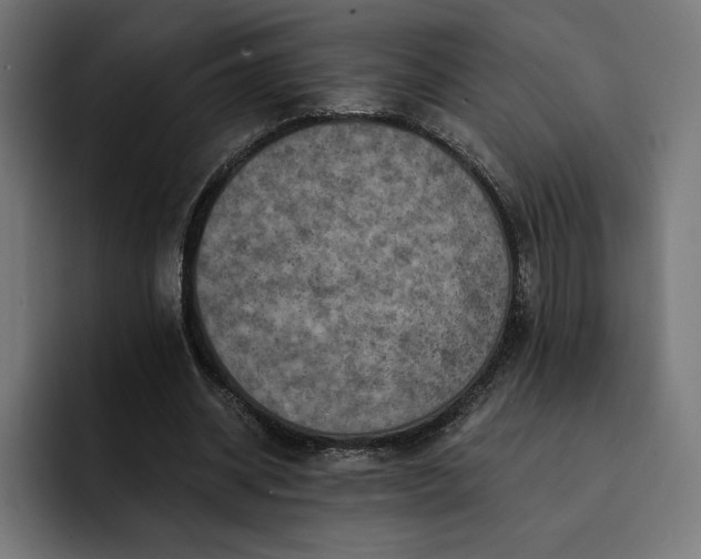 X0000093130534200710101101