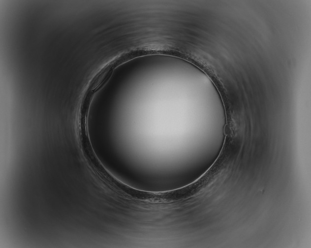 X0000093130535200710101101