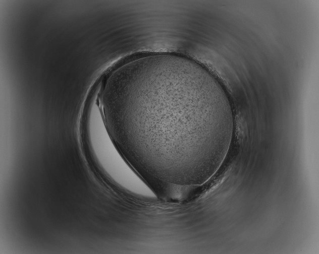 X0000093130536200710101101