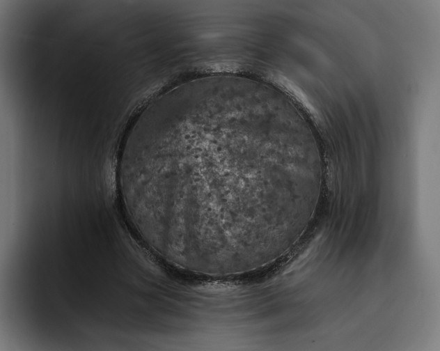 X0000093130537200710101101