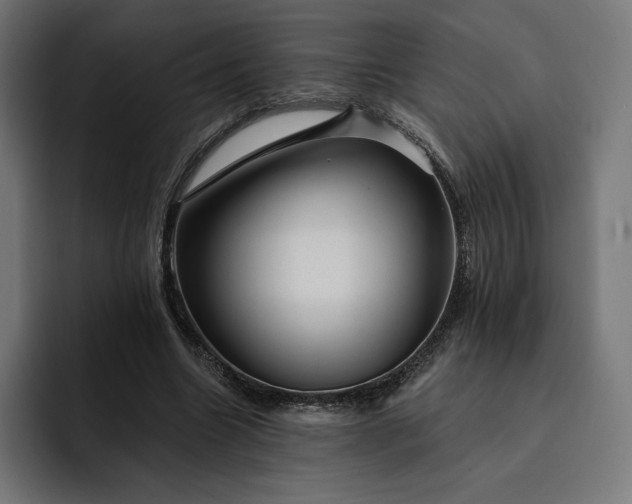 X0000093130538200710101101