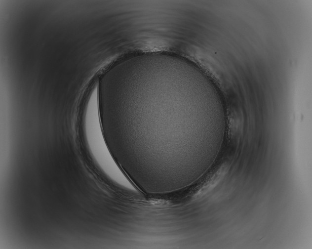 X0000093130539200710101101