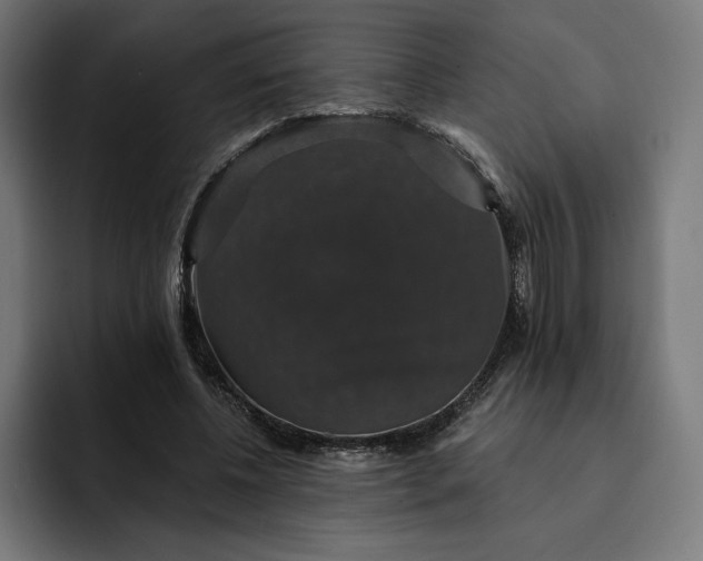 X0000093130540200710101101