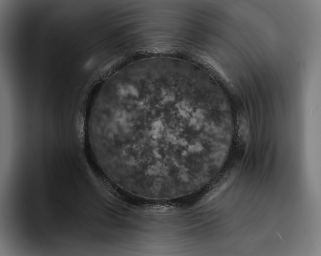 X0000093130542200710101101