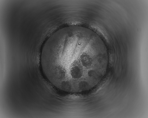 X0000093130545200710101101