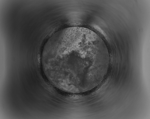 X0000093130549200710101101