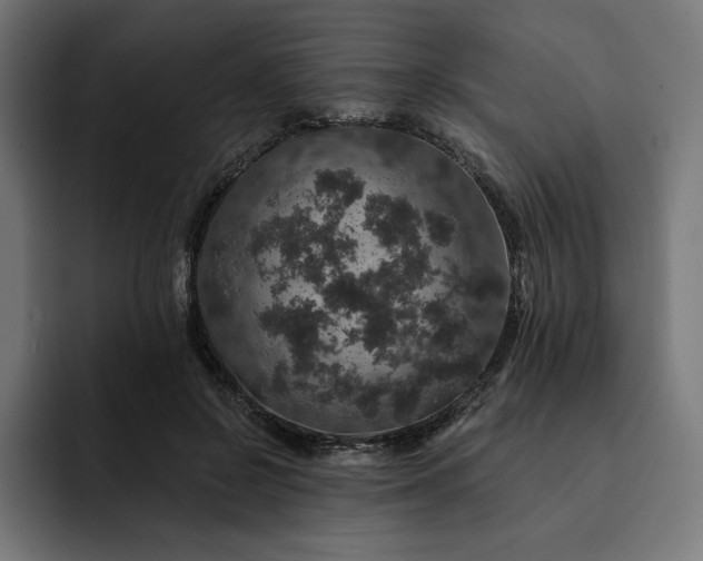 X0000093130550200710101101