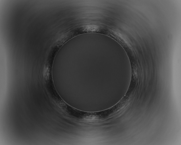 X0000093130551200710101101