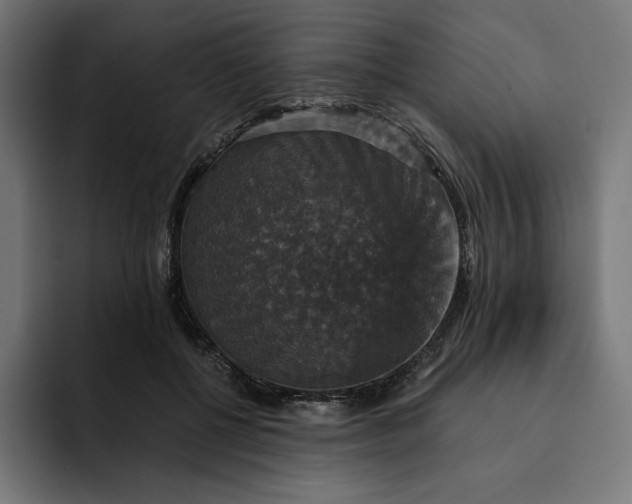 X0000093130552200710101101