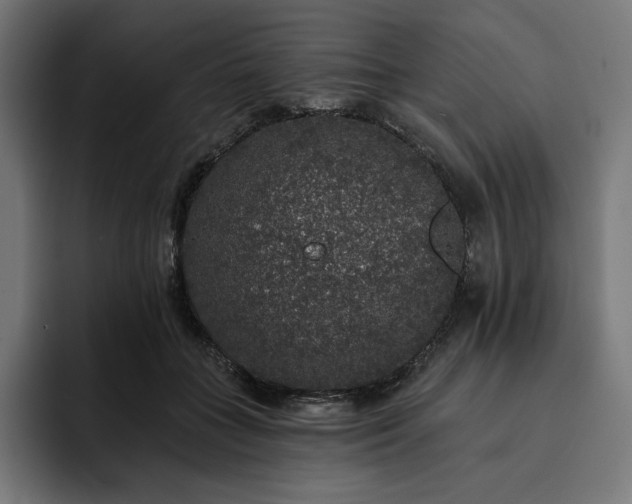 X0000093130555200710101101