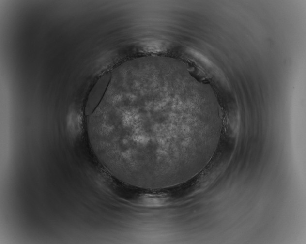 X0000093130556200710101101