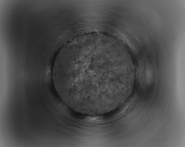 X0000093130557200710101101