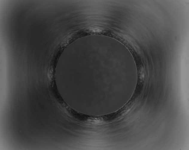 X0000093130559200710101101