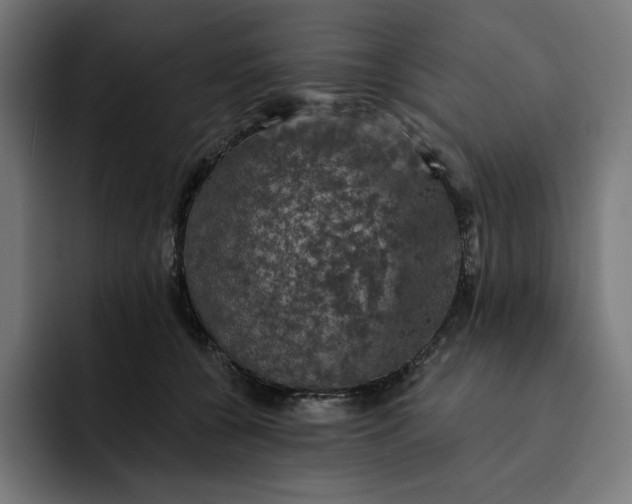 X0000093130560200710101101