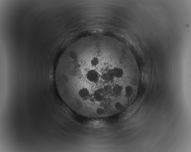 X0000093130561200710101101