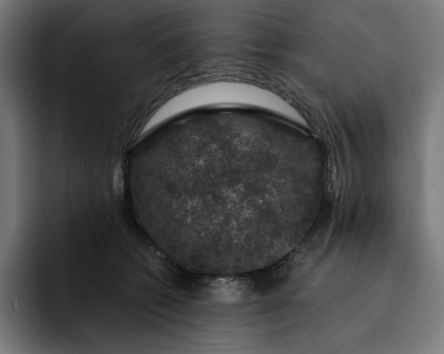 X0000093130562200710101101