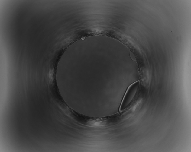 X0000093130563200710101101