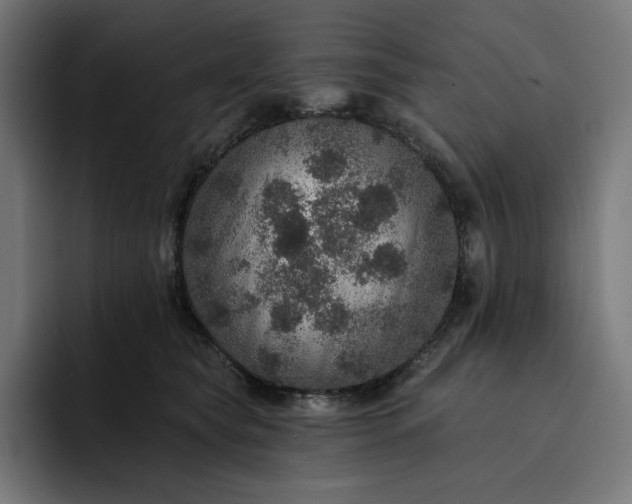 X0000093130565200710101101