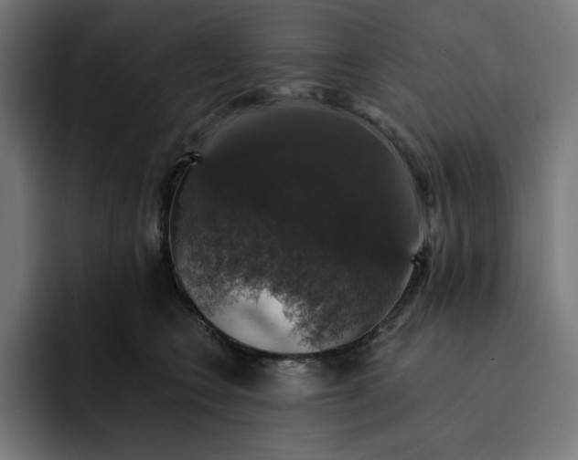 X0000093130566200710101101