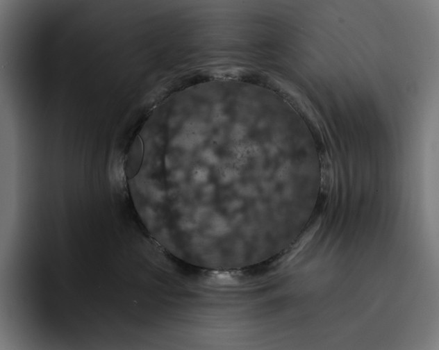 X0000093130573200710101101