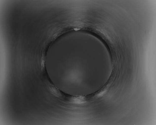 X0000093130576200710101101