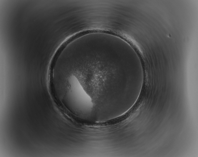 X0000093130580200710101100