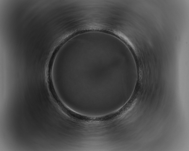 X0000093130581200710101100