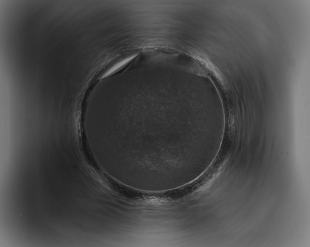 X0000093130585200710101100