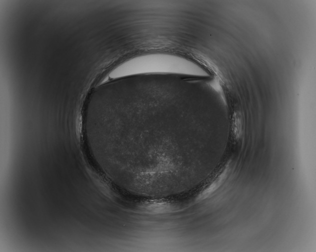 X0000093130589200710101100